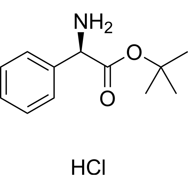 (R)-Phenylglycine tert-butyl ester hydrochloride 256478-95-2